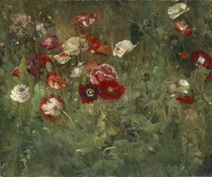 Un lit de coquelicots, 1909